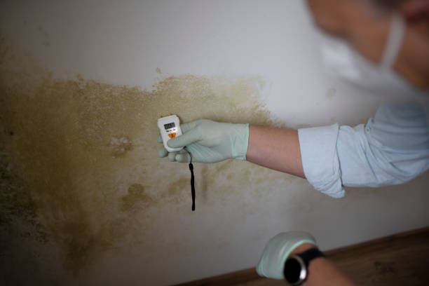 Best Forensic Mold Investigation  in Tonkawa, OK